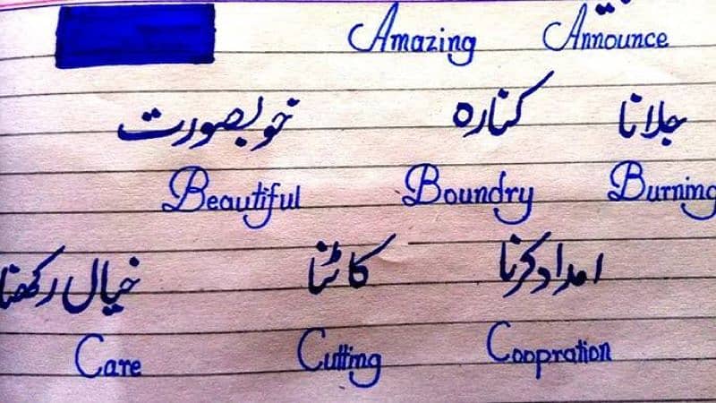 Hand writing assessment work English and Urdu 1