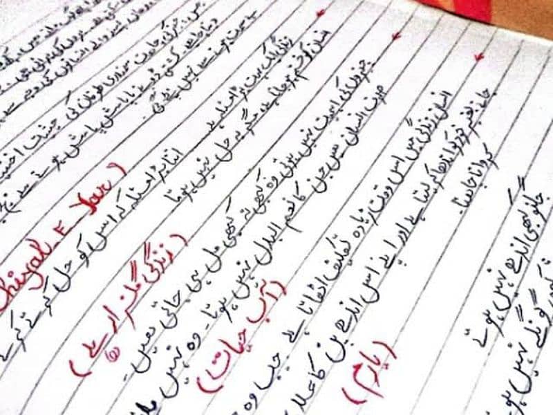 Hand writing assessment work English and Urdu 4