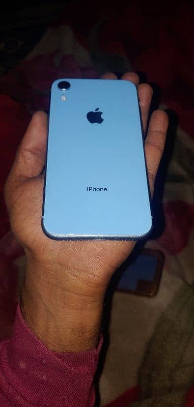 iphone XR 6