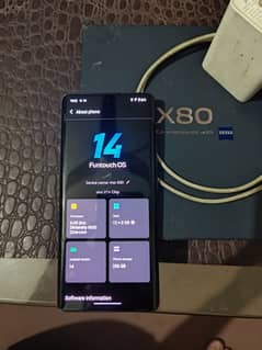 vivo x 80