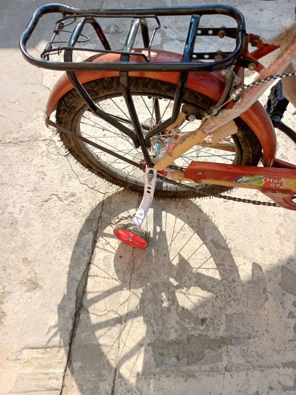 14 inch Bicycle 5