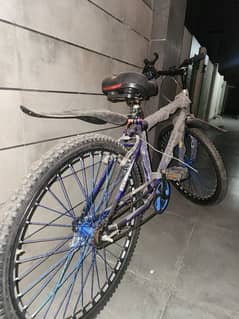 Phoenix cycle 26 inch