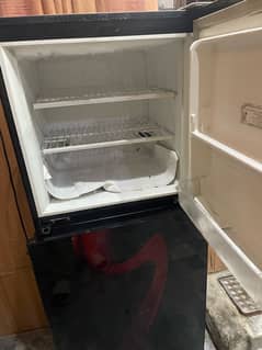 Pel Refrigerator Glass Door Red Wine 10/9 condition