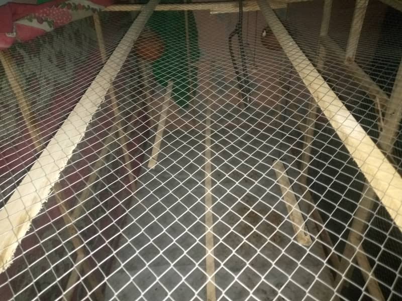 Hen and patots cage small time use good condition  6000 1