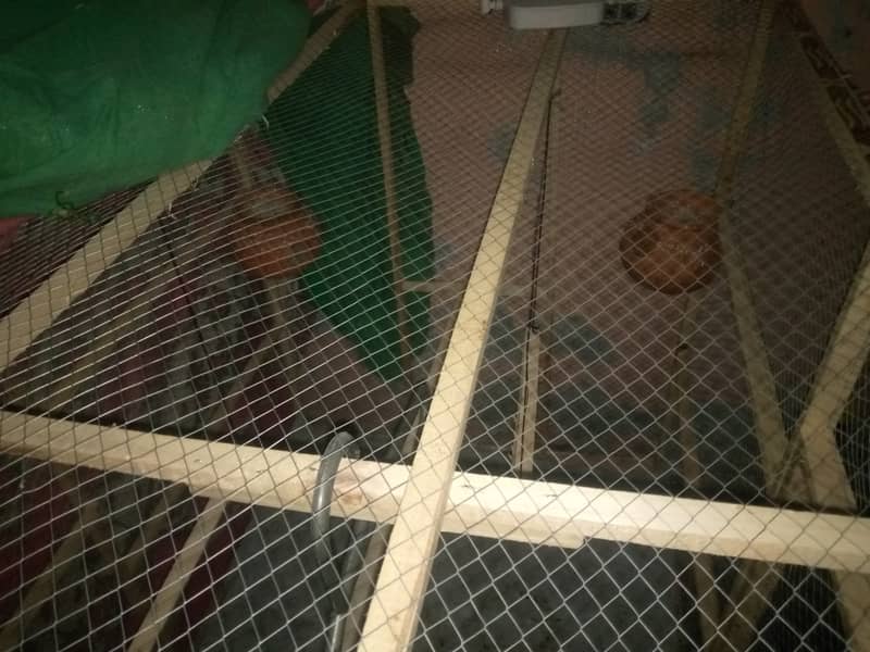 Hen and patots cage small time use good condition  6000 2