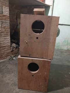 I'm selling my birds 6 box