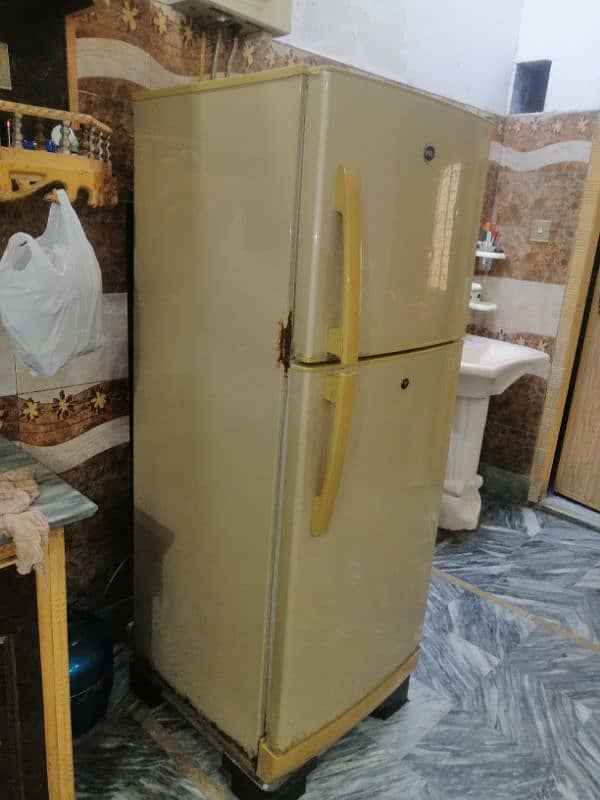 pel company medium size fridge 2