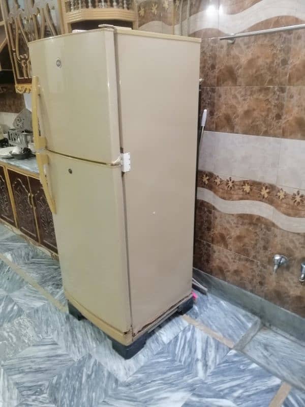 pel company medium size fridge 3