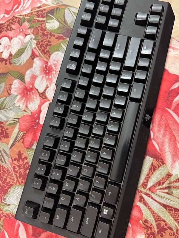 Razer Blackwidow v2 Gaming keyboard 2