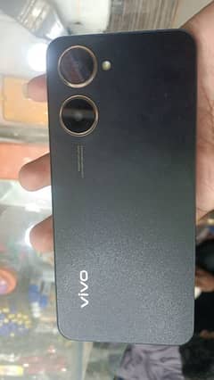 vivo