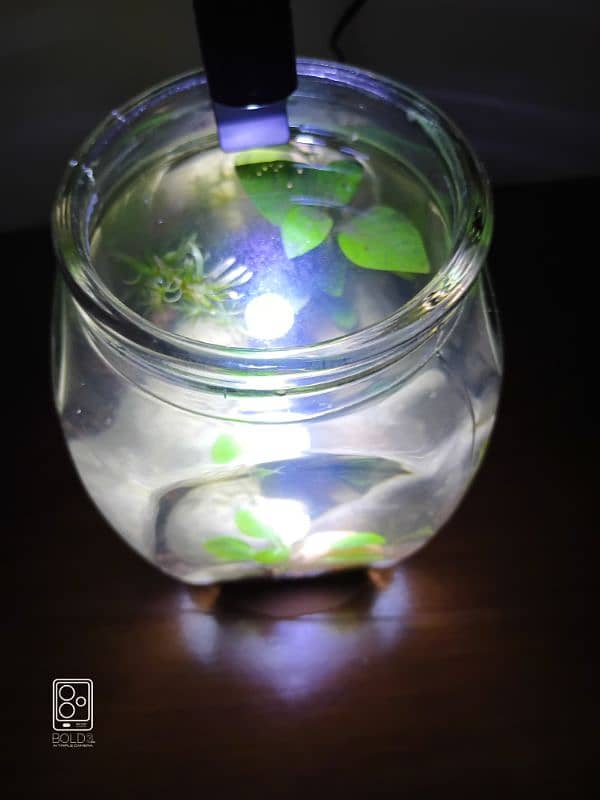 nano Jarrarium with accessories 2