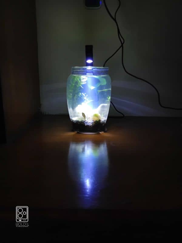 nano Jarrarium with accessories 3