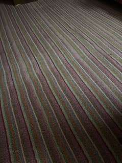 Carpet in good Condition for Sale