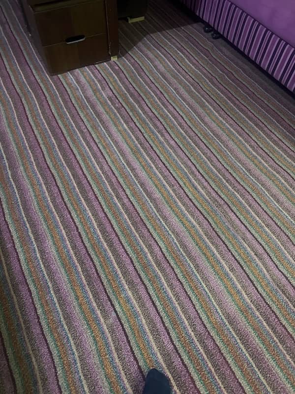 Carpet in good Condition for Sale 1