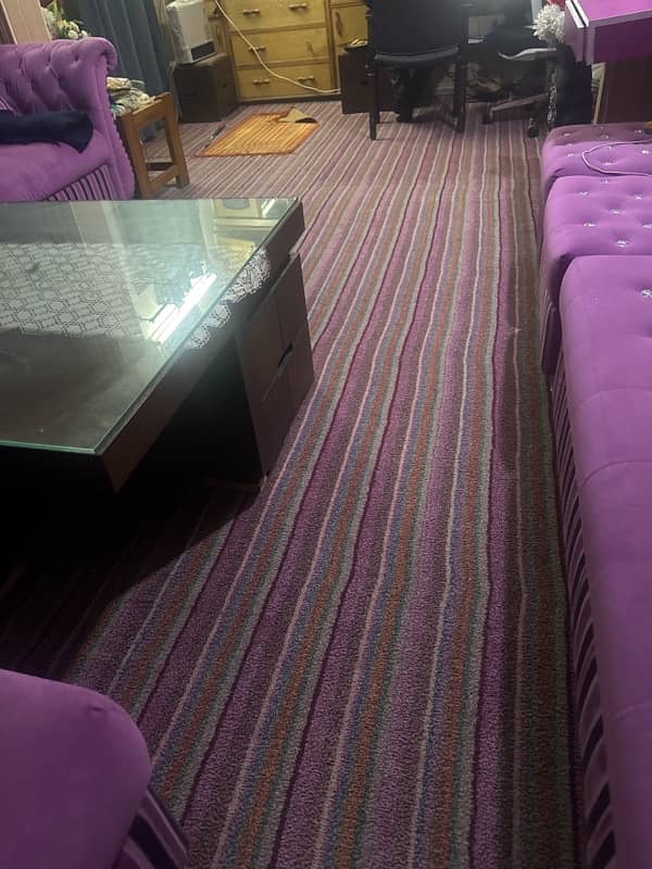 Carpet in good Condition for Sale 2