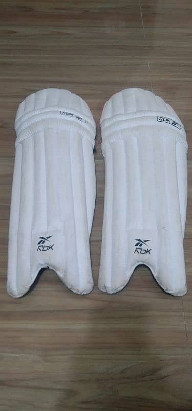 hard ball cricket kit without bat 7