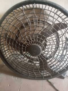 fan