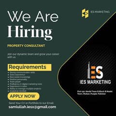 We are hiring property consultants.