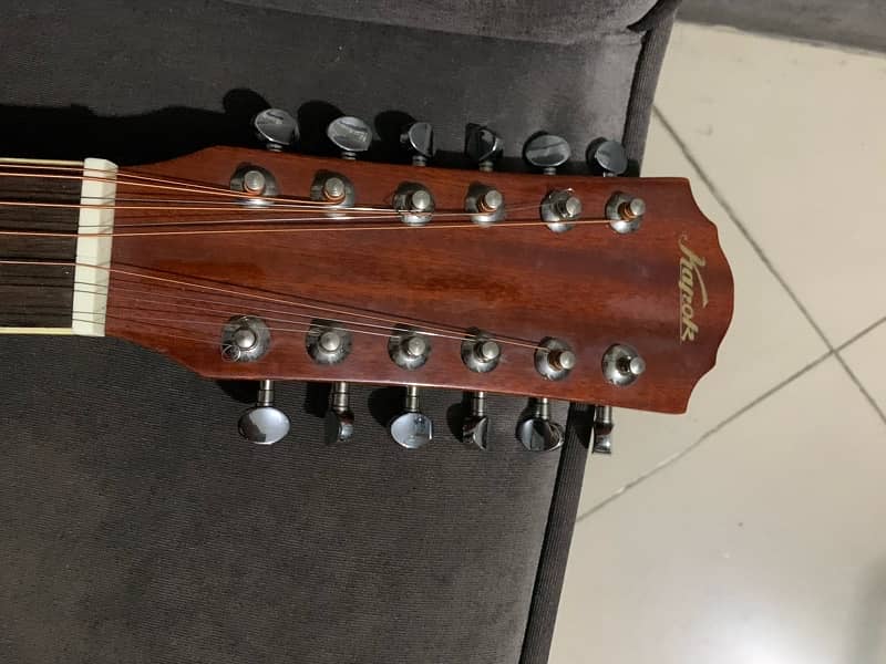 brand new 12 string guitar 2