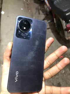 vivo