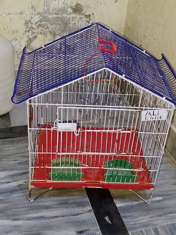 cage for birds. 0