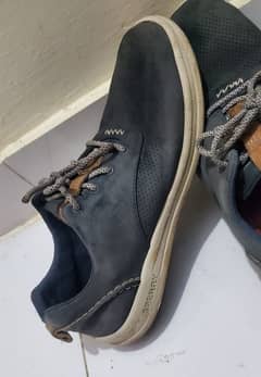 Sperry Blue Nubuck Casual Shoe