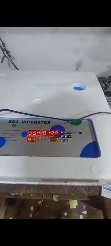 incubator fully automatic 64 agg 1