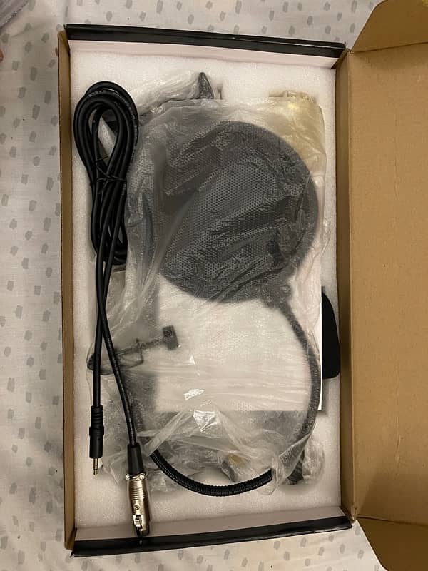 Bm 800 mic 1