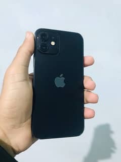 iPhone 12 PTA