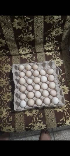 unfertile fresh eggs 1050 =30 eggs | dasi eggs | desi eggs| misri eggs