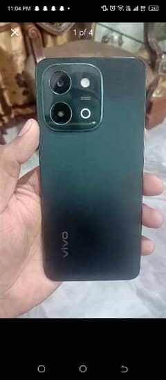 vivo