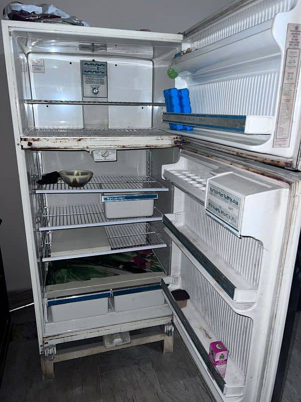 fridge kelvinator 1