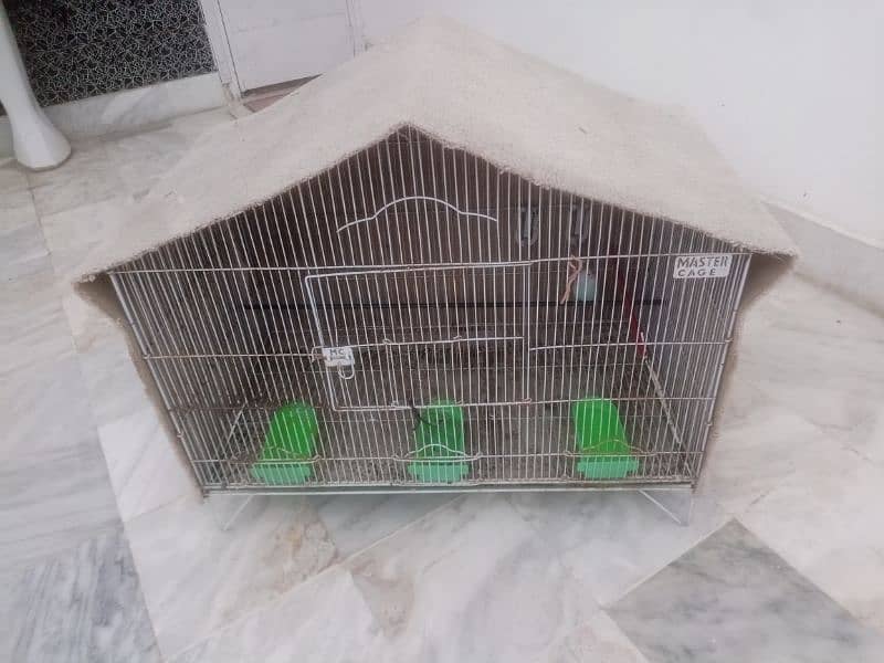 Cage/ ringneck/ cocktail/ budgies/ love bird/ full coverd cage 0