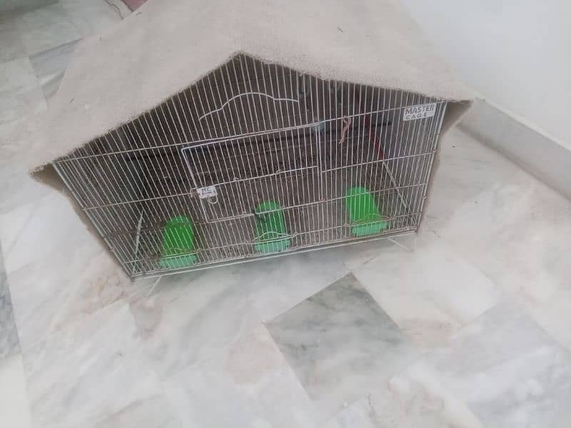 Cage/ ringneck/ cocktail/ budgies/ love bird/ full coverd cage 4