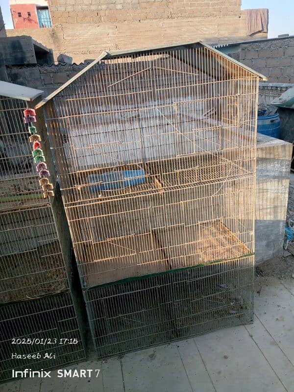 Birds cages 1