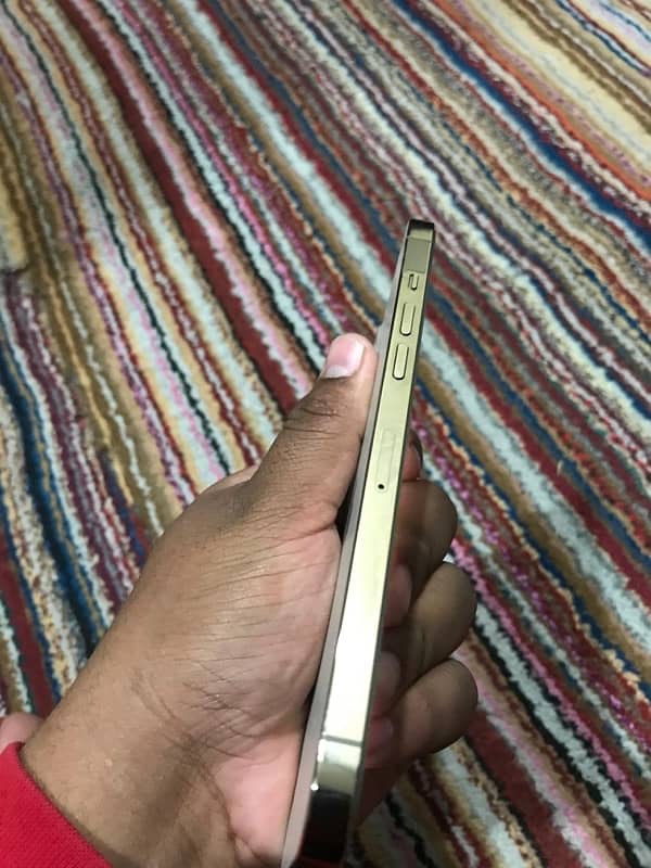 IPHONE 12 PRO MAX | NON PTA | 256 Gb Waterpack 5