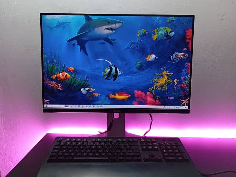 Dell ultra sharp 24-inch 1080p bazel-less IPS Monitor 8