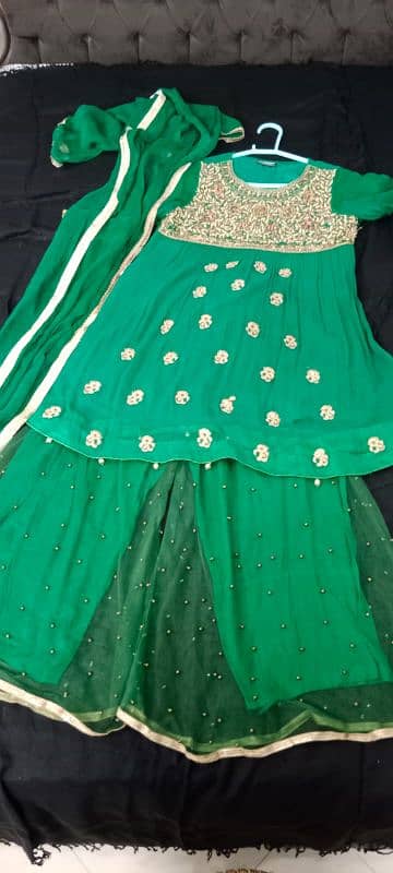 heavy fancy stylish functional dresses, including lehnga and saree 11
