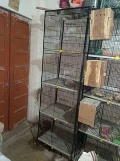 Birds Cages for Sale