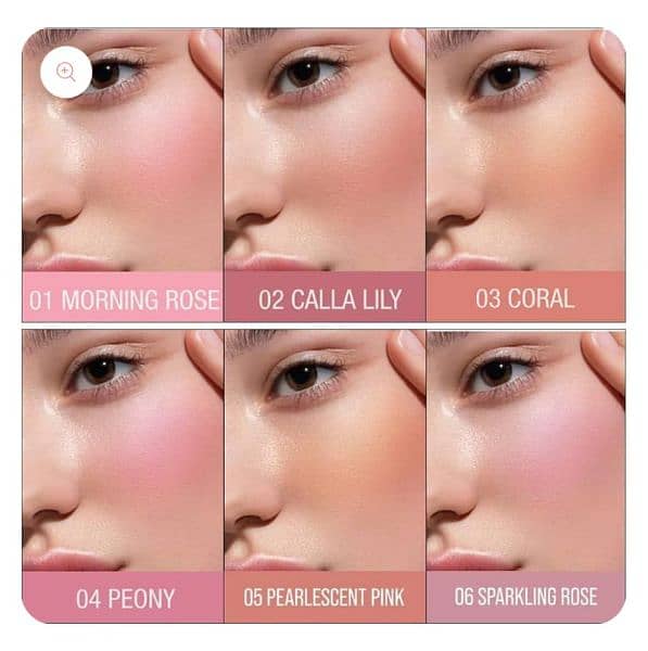 blush 6pcs set 1