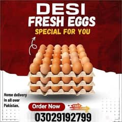 Desi eggs and hens