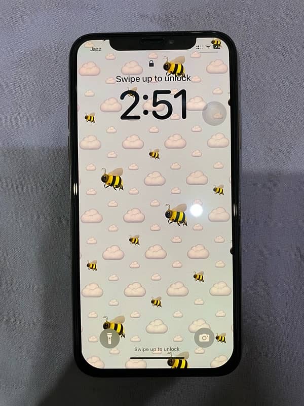 iPhone XS 256GB PTA Approved 1