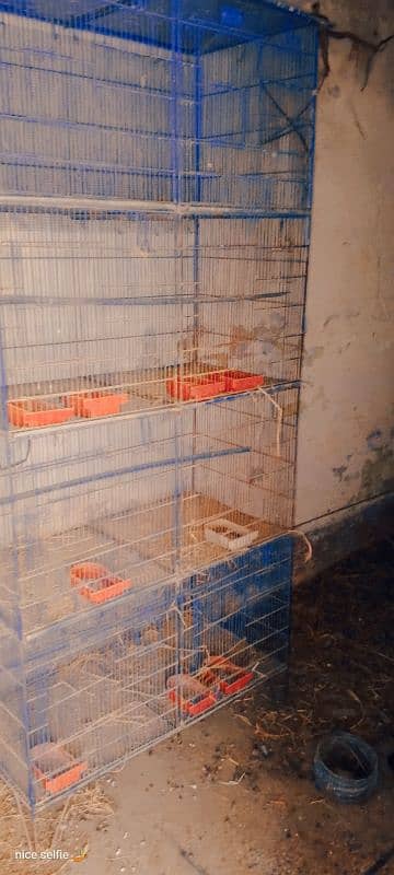 cages for sell 5