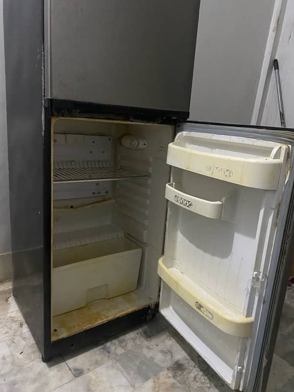 orient fridge 10/9 condition 5