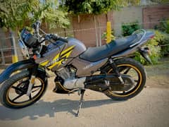 Yamaha Ybr 125G for sale in good condition