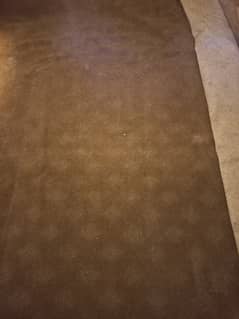 New like Carpet for Urgent Sale