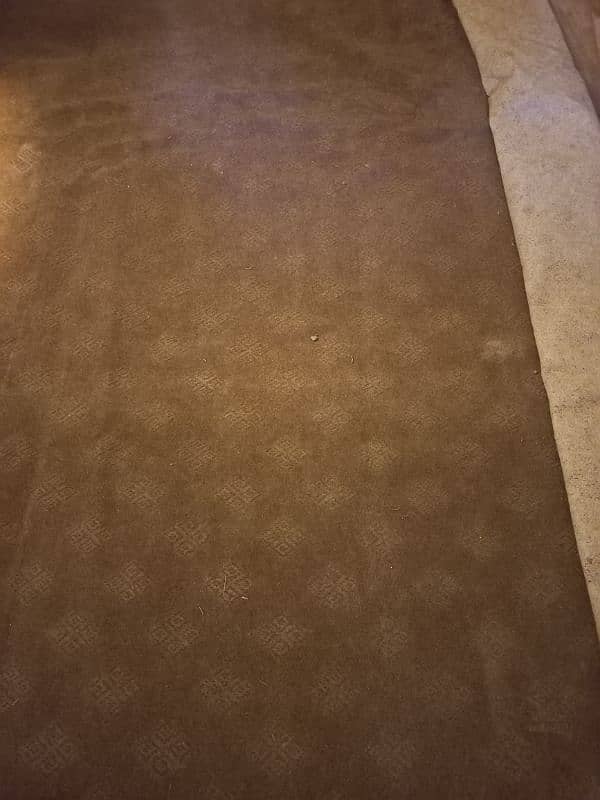 New like Carpet for Urgent Sale 0