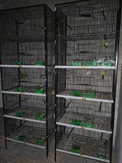 love birds cage available