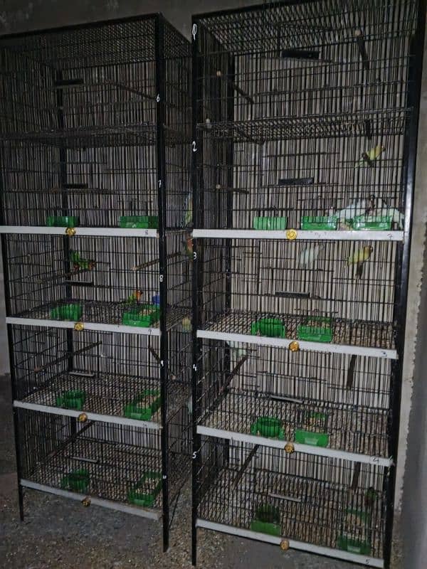 love birds cage available 0