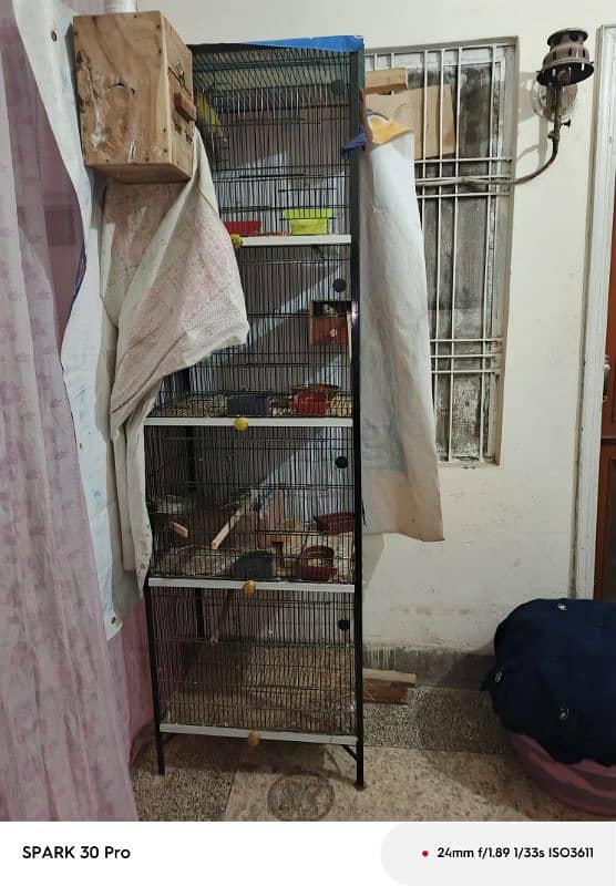 cage plus birds 0